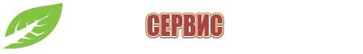 аппарат Дэнас вертебра