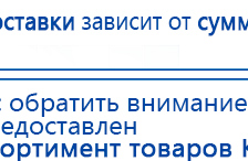 Пояс электрод купить в Камышлове, Аппараты Меркурий купить в Камышлове, Дэнас официальный сайт denasolm.ru