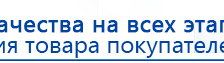 Перчатки электроды купить в Камышлове, Аппараты Меркурий купить в Камышлове, Дэнас официальный сайт denasolm.ru
