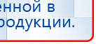 Электрод Скэнар - зонный универсальный ЭПУ-1-1(С) купить в Камышлове, Электроды Скэнар купить в Камышлове, Дэнас официальный сайт denasolm.ru